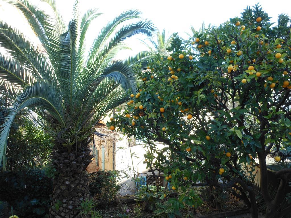 Hotel Villa Les Cygnes Nice Luaran gambar